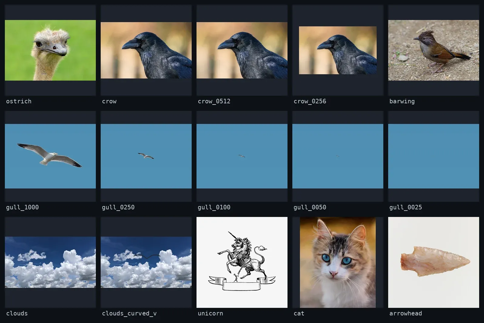 Contact sheet of the 15 test images: ostrich, crow at three sizes, barwing, gull at five sizes on blue sky, cat, clouds, flint arrowhead, unicorn illustration, and a dark curved V drawn over clouds