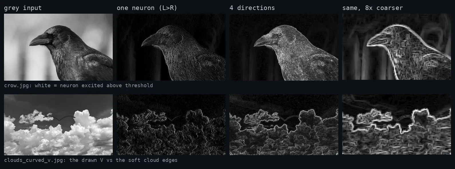 Grid showing the crow and the curved V cloud image in grayscale, then where one left-brighter edge neuron fires, where any of four directions fire, and the same at 8x coarser scale