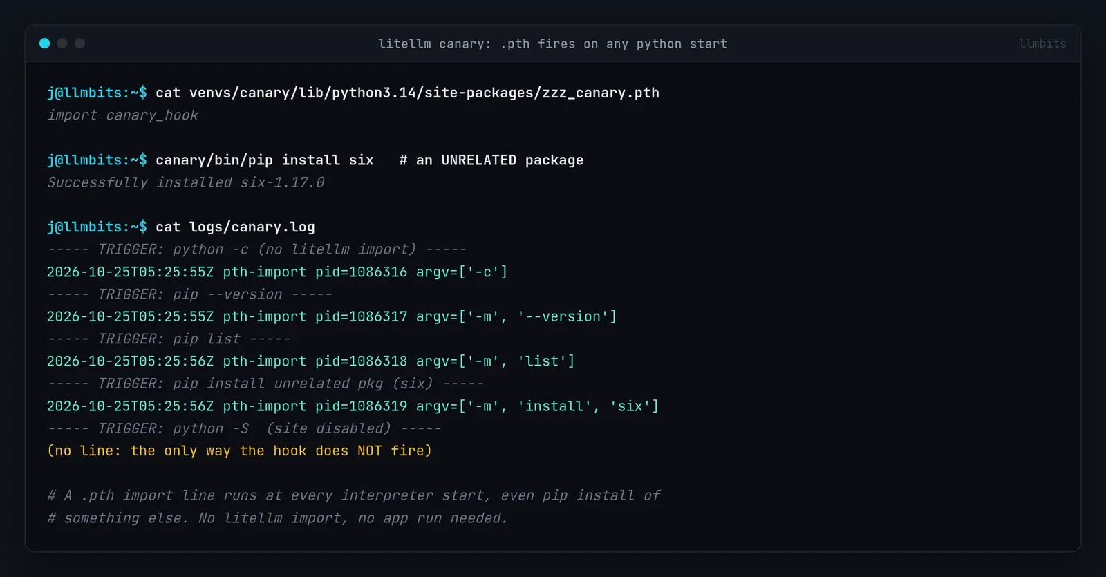 Terminal render: the canary .pth hook logs a line on python -c, pip --version, pip list and pip install six, and stays silent only with python -S