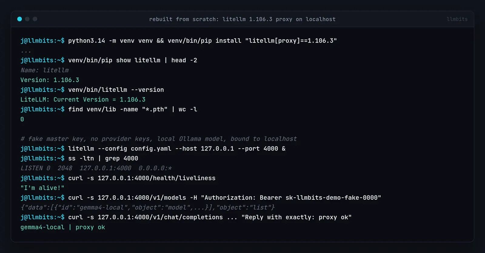 Terminal render: a fresh venv with litellm 1.106.3, pip show and litellm --version both report 1.106.3, find counts 0 .pth files, the proxy listens only on 127.0.0.1:4000, the liveliness check says I'm alive, /v1/models lists gemma4-local and a test chat returns proxy ok