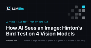 LLMBits card: How AI Sees an Image, Hinton's bird test on 4 vision models